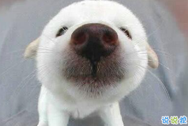 笑死人的搞笑說(shuō)說(shuō)超好玩：你以為有錢真的會(huì)快樂(lè)嗎1