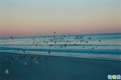 簡(jiǎn)單而又唯美有哲理的英文說說帶圖片 你醒在別人的夢(mèng)里14