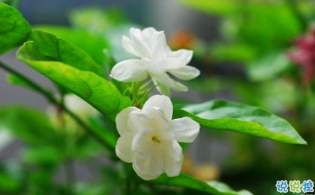 表示無聊的朋友圈說說帶圖片：無聊，是人生的一種正?，F(xiàn)象13