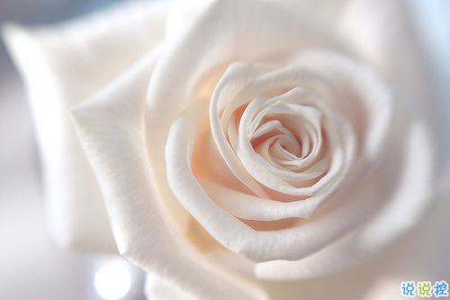 安妮寶貝作品集經(jīng)典語(yǔ)錄摘抄 美文優(yōu)美唯美的語(yǔ)錄大全安妮寶貝2