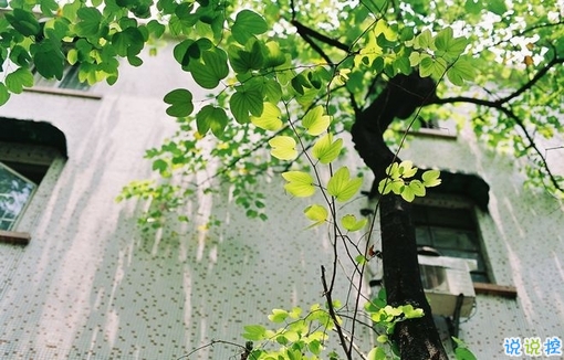 分手后泣不成聲的難過悲傷說說帶圖片 有的人陪你一半就走了說說2