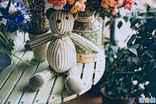 很勵(lì)志的關(guān)于成長青春和夢想的感悟人生的說說帶圖片12