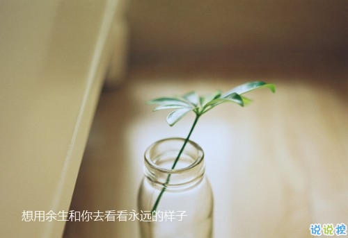 生活中讓人感到孤獨(dú)的小瞬間 一個人感到孤單落寞的說說2