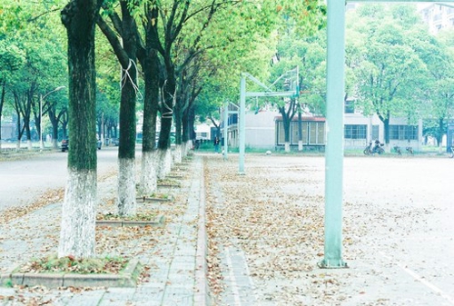 關(guān)于愛(ài)情感情的感悟有哲理深意的精辟說(shuō)說(shuō)帶圖片7