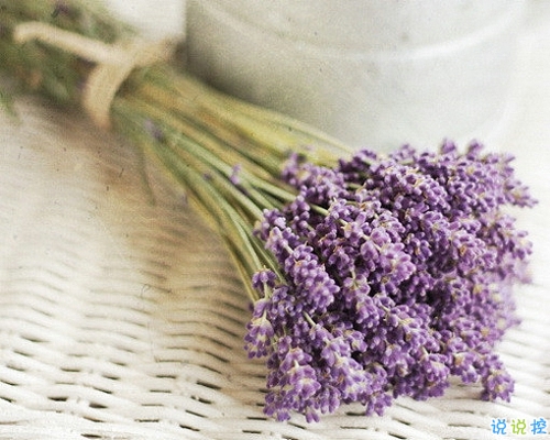 優(yōu)美說說唯美的句子配圖：海底月是天上月，只是鏡花水月10