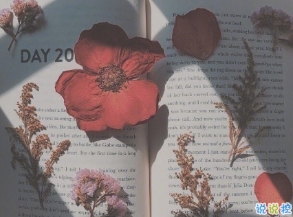 心很累的傷感說說很難受 很現(xiàn)實(shí)很深?yuàn)W的說說一個(gè)人失落2