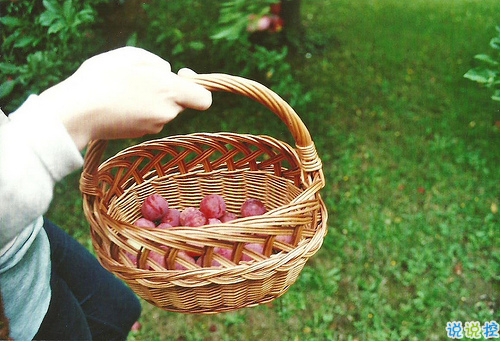 最近很火爆的哲理的句子合集 激勵(lì)人心的簡短哲理句子1