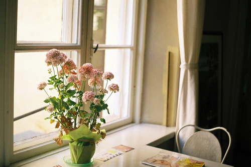 超經(jīng)典的關于人生和成長的激勵你前行的正能量說說帶圖片7