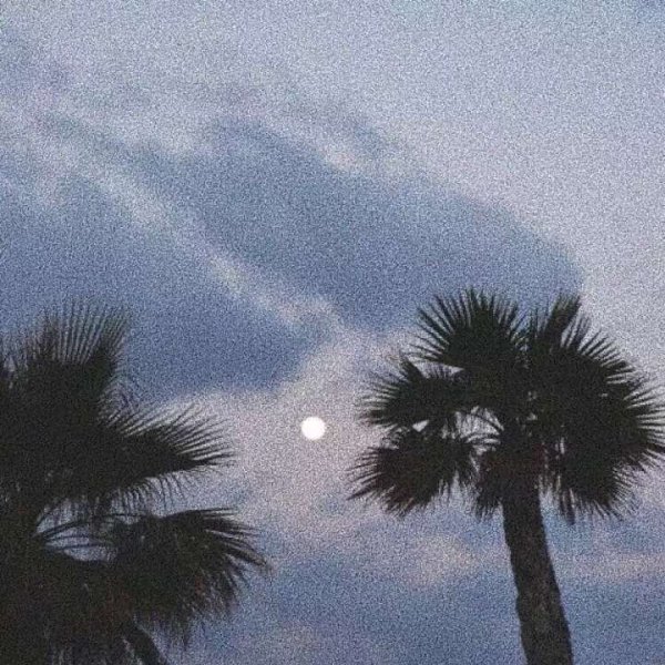 關(guān)于人生和夢(mèng)想的很現(xiàn)實(shí)的經(jīng)典哲理說(shuō)說(shuō)帶圖片4