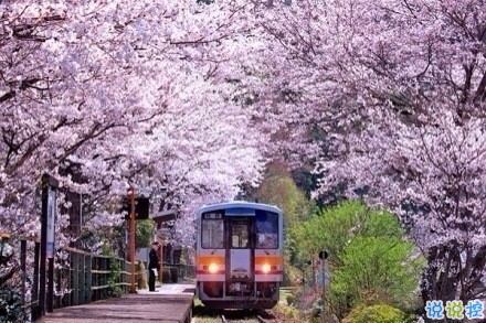 感悟生活的早安心情說說 陽光這么好別辜負(fù)了今天12