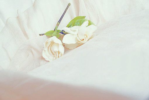 有哪些詩歌讀到后心里像開出了一朵花？6