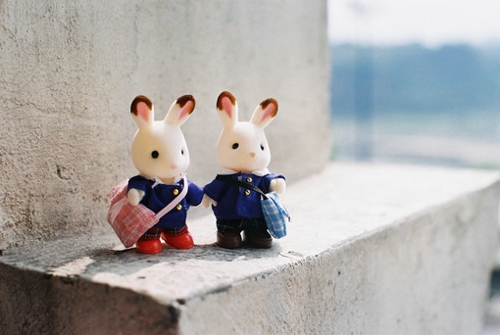 很勵(lì)志的正能量說(shuō)說(shuō)帶圖片 我有孤勇一腔起于星光止于他鄉(xiāng)9