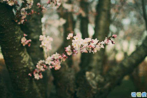 日升日落讓人感到傷感的說說 時間和愛情帶給我們的憂傷傷感說說2