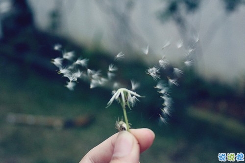 痛到心碎的傷感說說配圖 生活很現(xiàn)實(shí)的傷感說說9