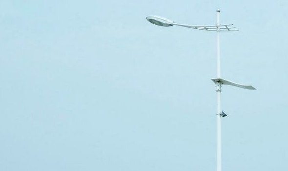 關(guān)于愛情和喜歡一個(gè)人的心事的經(jīng)典圖片說說13