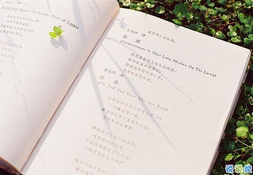 霸氣個(gè)性說說帶圖片情感有關(guān)的 很火爆的微信霸氣說說配圖5