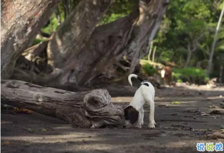 人生感悟的句子傷感2018 傷感的句子帶人生感悟想流淚2
