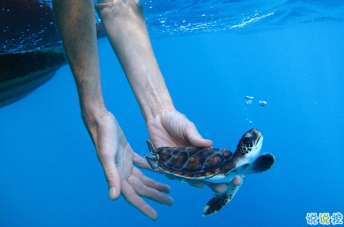 刺痛內(nèi)心的傷感說說帶圖片 2019最新失落傷感的句子合集12