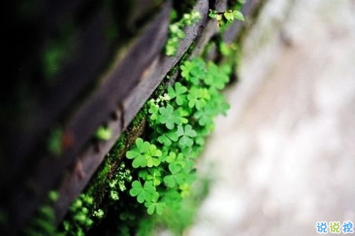 回憶總想哭的傷感說說帶圖片 學著忘記你釋懷一切的傷感說說1