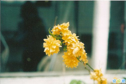 發(fā)微信朋友圈的好句子大全 別致一點(diǎn)的朋友圈說說有個(gè)性2