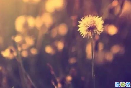 2019送給自己的一句話勵志 新的開始送給自己的一句話簡短2