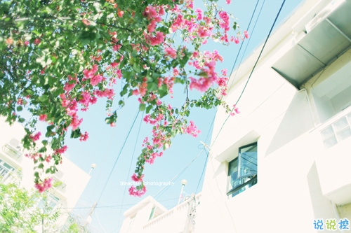 最近很火的一些女生經(jīng)典說(shuō)說(shuō) 送給女孩子的28句話有道理2