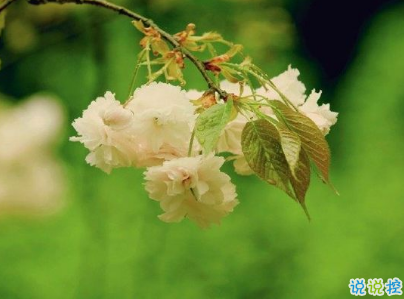 很現(xiàn)實的人生感悟經典句子 人生感悟句句精辟帶圖片7