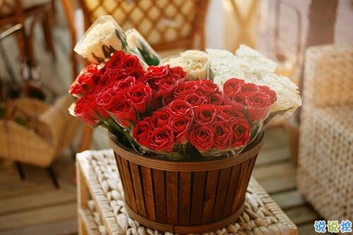 2019微信個(gè)性說說帶圖片 發(fā)朋友圈的獨(dú)特內(nèi)涵句子11