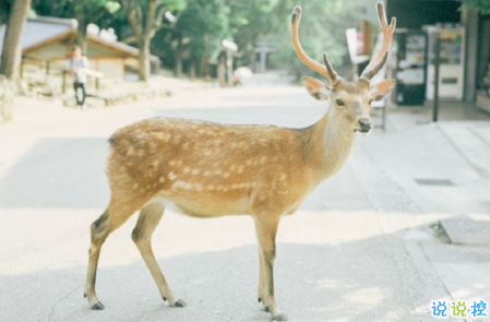 表示無聊的朋友圈說說帶圖片：無聊，是人生的一種正常現(xiàn)象1