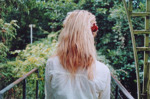 正能量心靈雞湯勵志說說帶圖片 崇高的理想就象生長在高山上的鮮花8