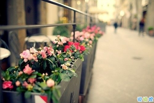 2018失落傷感后的圖片說說 帶有治愈系的傷感說說配圖13