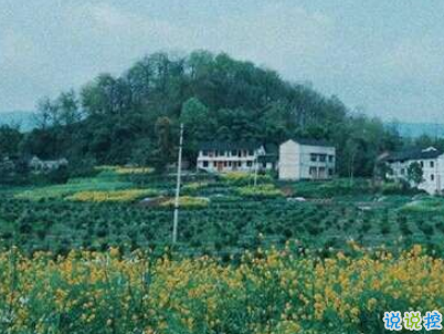 快手公布對象說說精選帶圖片 公布戀愛關(guān)系的說說12