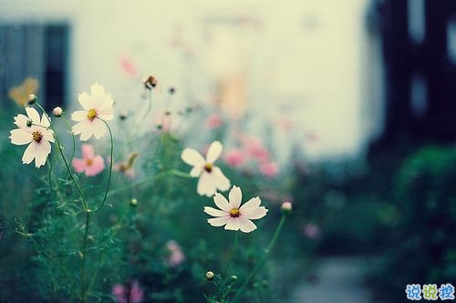 適合中小學生發(fā)的傷感說說 00后專屬傷感說說大全1