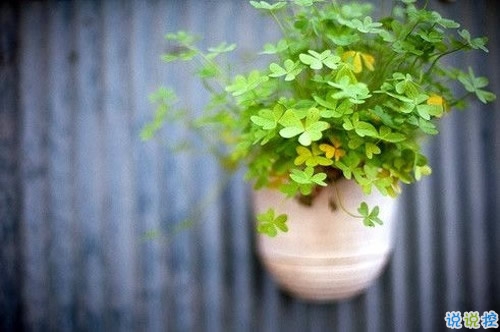 回憶總想哭的傷感說說帶圖片 學著忘記你釋懷一切的傷感說說9