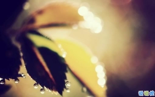 輸?shù)靡凰康膼?ài)情傷感說(shuō)說(shuō) 句句寫(xiě)入心坎的傷感說(shuō)說(shuō)大全2