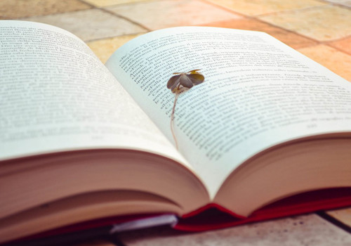 痛徹心扉的傷感愛情說說帶圖片 我在每個下雨天想起你5