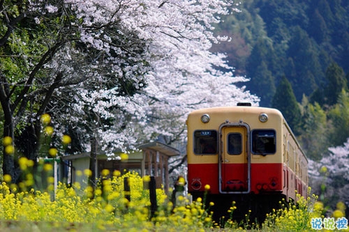 十二月治愈系早安說說2018精選帶圖片 麻煩十二月對我好一點(diǎn)8