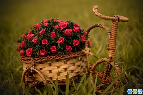 獨一無二朋友圈個性說說帶圖片 感謝相識不計消失回頭是狗3