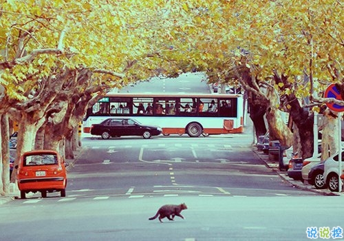 qq個性說說帶圖片有點憂傷 晚安無奈傷感說說11