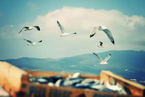 讓人難過傷感愛情說說帶圖片 差一點(diǎn)就抱住他了我再睡一會兒試試5