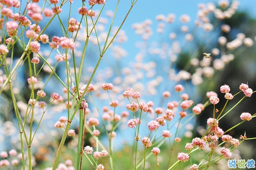 2019微信朋友圈勵(lì)志晚安心語(yǔ)帶圖片 早安晚安勿忘心安14
