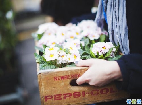 很經(jīng)典唯美的說(shuō)說(shuō)適合摘抄 一句話(huà)寫(xiě)滿(mǎn)了少女心事的說(shuō)說(shuō)2