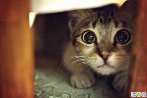 突然一瞬間悲傷難過的傷感說說帶圖片 抖音上很火的觸動(dòng)人心的傷感說說14