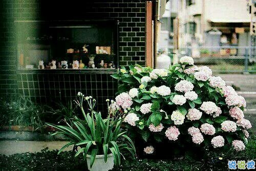 適合朋友圈發(fā)自拍的文案 女生發(fā)自拍的配文獨(dú)特有趣15