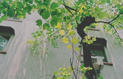 關于生活的有點傷感但很現(xiàn)實的圖片說說 哭也不會改變什么這個世界從來不會對任何人溫柔8