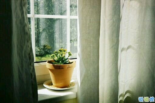 最暖心的一句話說說一秒被融化 那些溫暖人的經(jīng)典說說帶圖片10