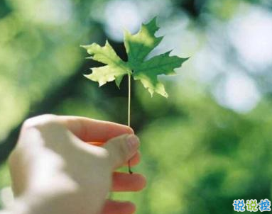 描寫春天的唯美句子帶圖片 2019適合春天的微信說(shuō)說(shuō)句子9