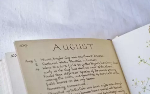 再見七月八月你好圖片說說2018最新版 唯美好聽的八月你好說說配圖10