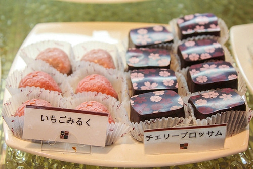 溫暖的小清新文藝句子帶圖片 想把自己的全世界都給你8