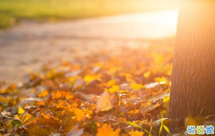 看透生活的傷感說(shuō)說(shuō)帶圖片精選 很失望的心情說(shuō)說(shuō)很無(wú)能為力10